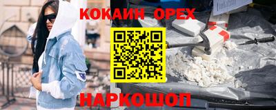 индика Новодвинск