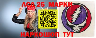 индика Новодвинск