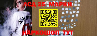 индика Новодвинск