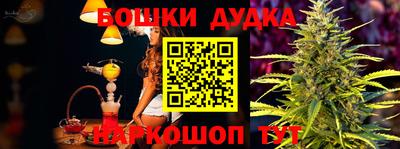 индика Новодвинск