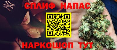 индика Новодвинск