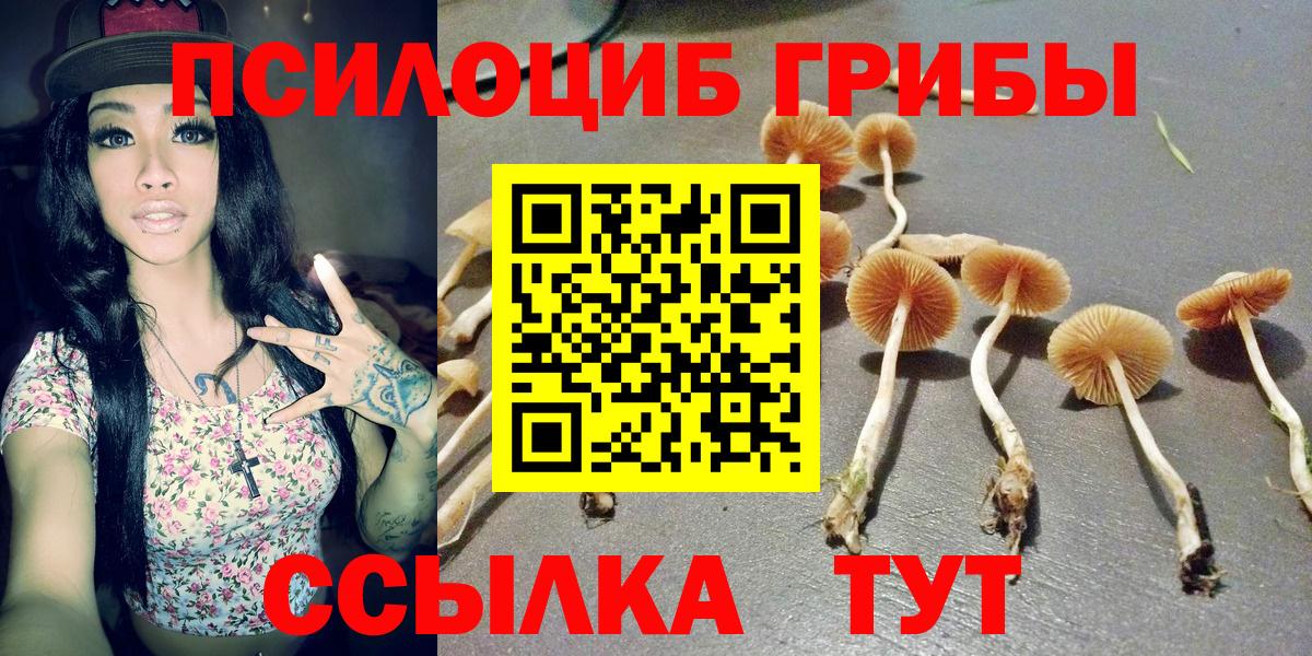 Вейп ТГК Новокуйбышевск