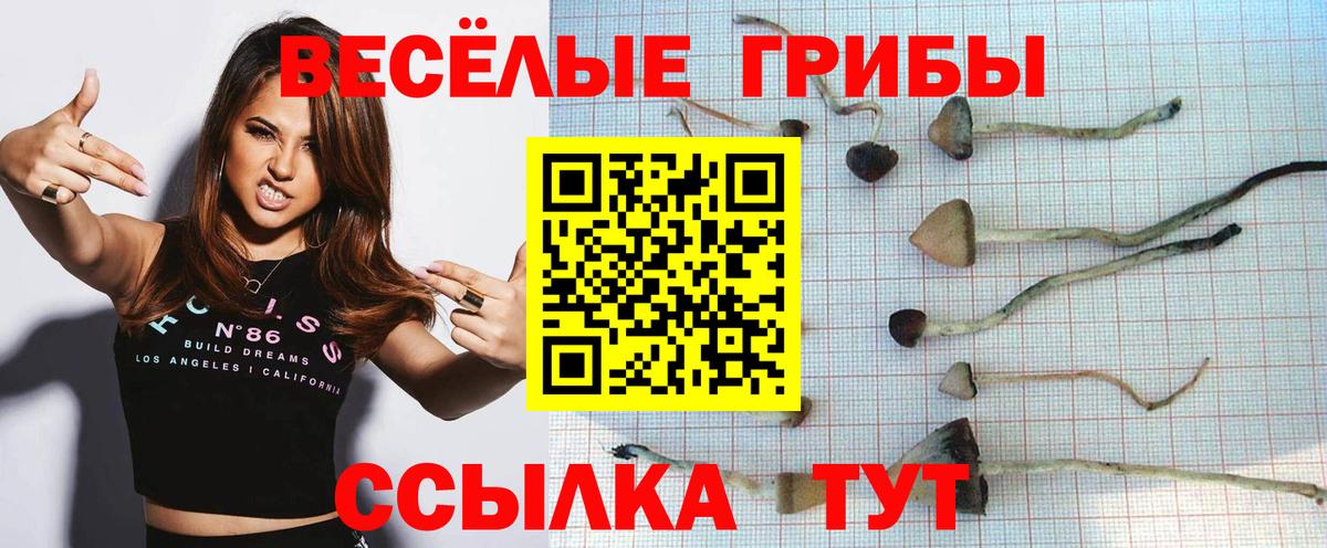 Новокуйбышевск  Галлюциногенные грибы Cubensis  Вход с VPN 